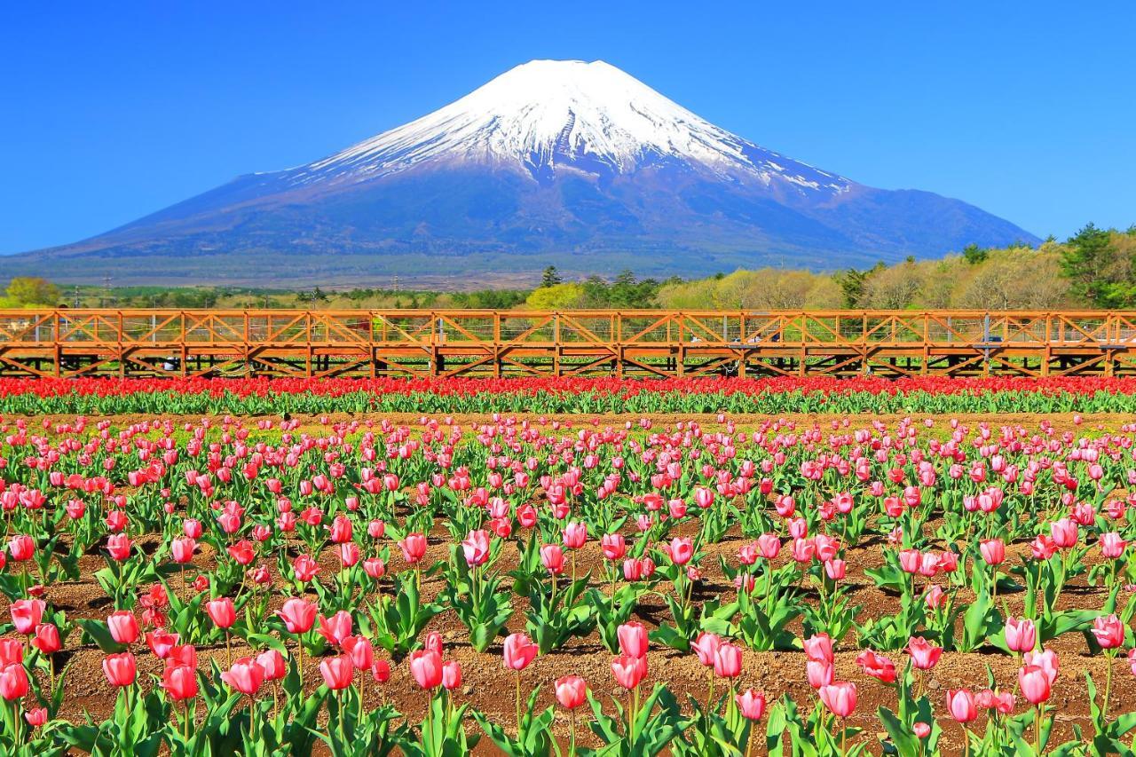 Hatago Sakuraya Yamanakako Exteriör bild
